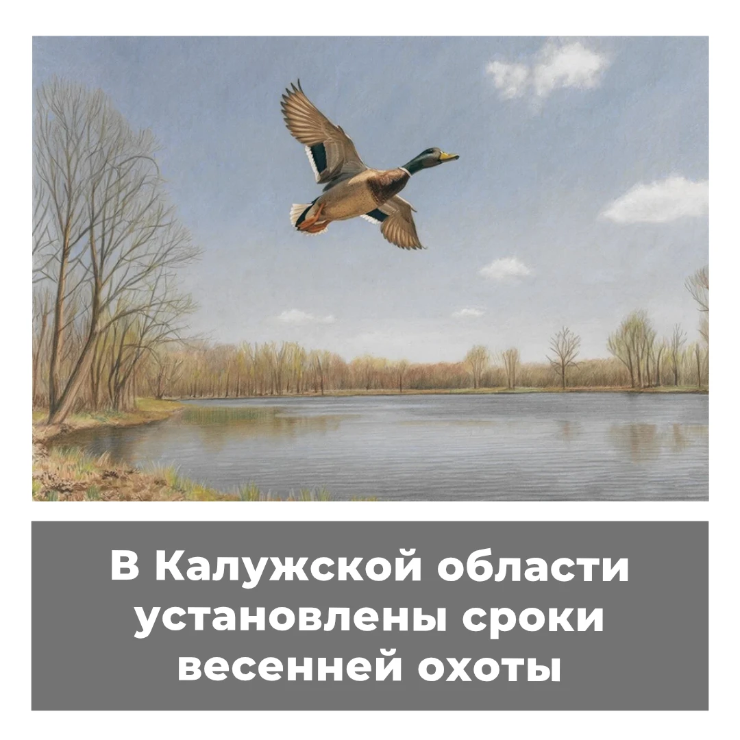 В Калужской области установлены сроки весенней охоты
