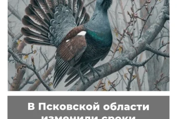 В Псковской области изменили сроки охоты