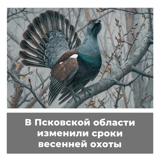 В Псковской области изменили сроки охоты