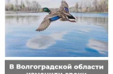 В Волгоградской области изменили сроки весенней охоты