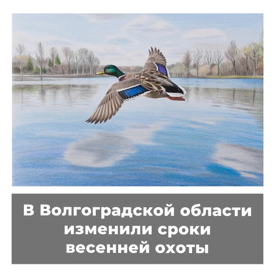 В Волгоградской области изменили сроки весенней охоты