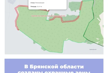 В Брянской области созданы охранные зоны памятников природы