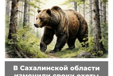 В Сахалинской области изменили сроки охоты на медведя