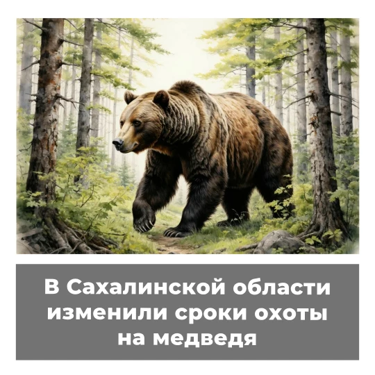 В Сахалинской области изменили сроки охоты на медведя
