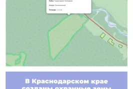 В Краснодарском крае созданы охранные зоны памятников природы
