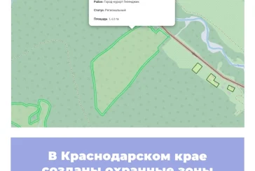 В Краснодарском крае созданы охранные зоны памятников природы
