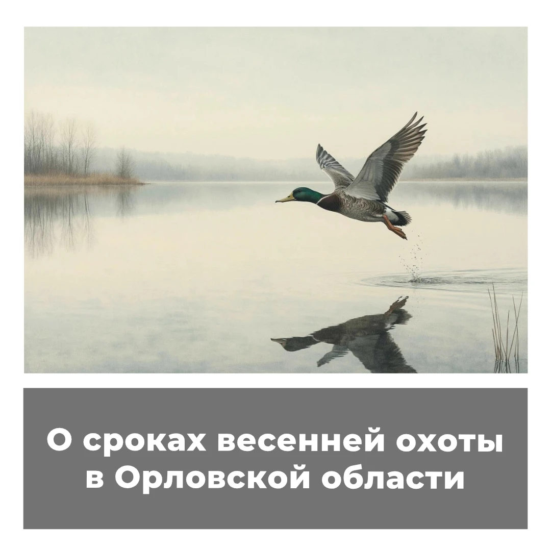 О сроках весенней охоты в Орловской области