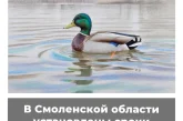 В Смоленской области установлены сроки весенней охоты