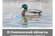 В Смоленской области установлены сроки весенней охоты