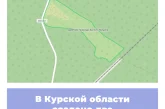В Курской области создано два памятника природы