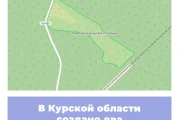 В Курской области создано два памятника природы