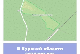 В Курской области создано два памятника природы