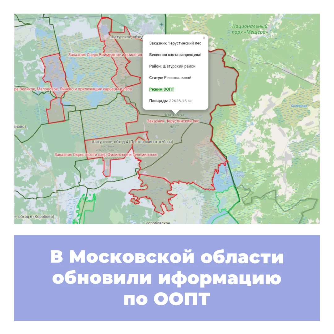 В Московской области обновили информацию по ООПТ