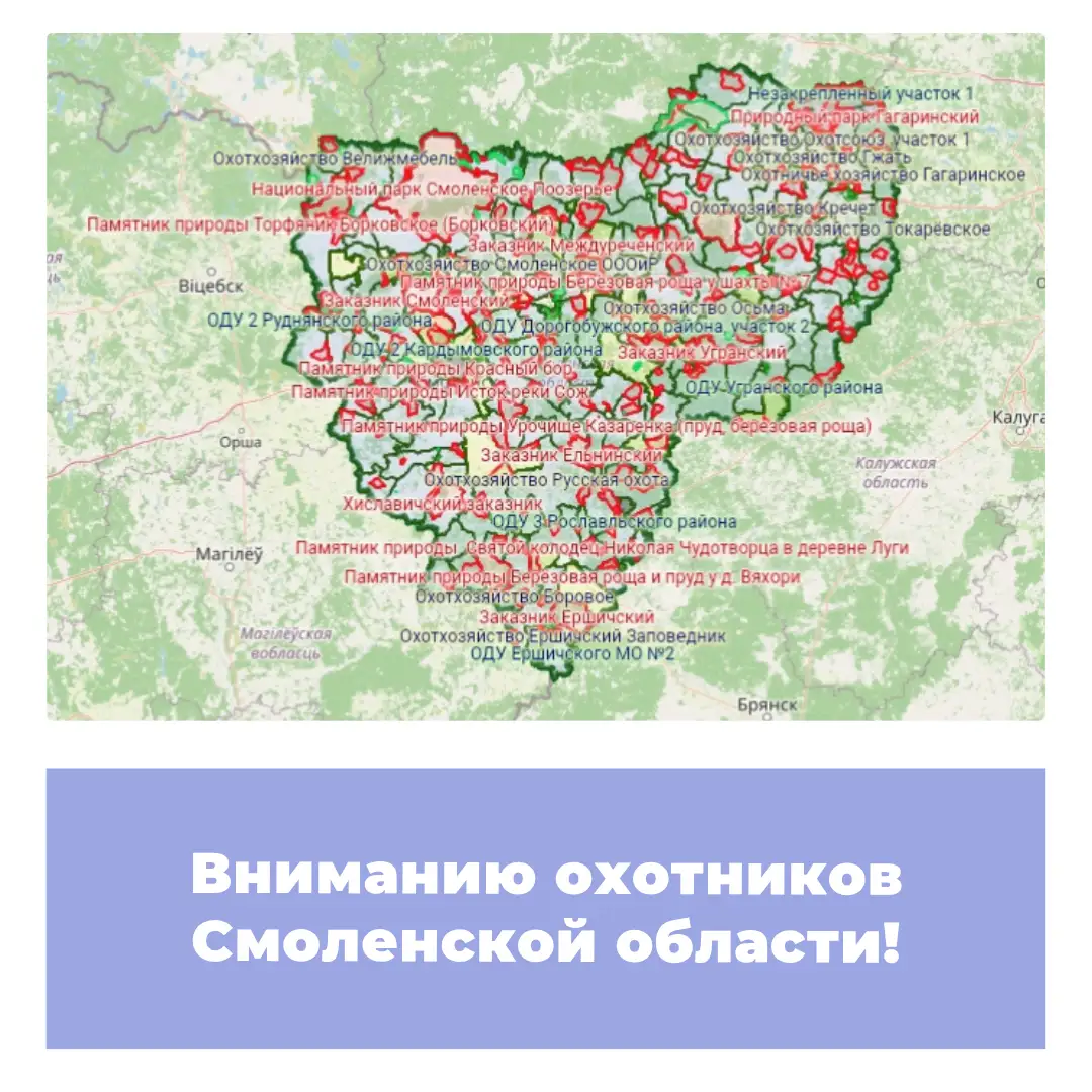Вниманию охотников Смоленской области!