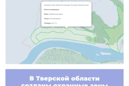 В Тверской области созданы охранные зоны памятников природы
