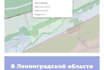 В Ленинградской области создан памятник природы