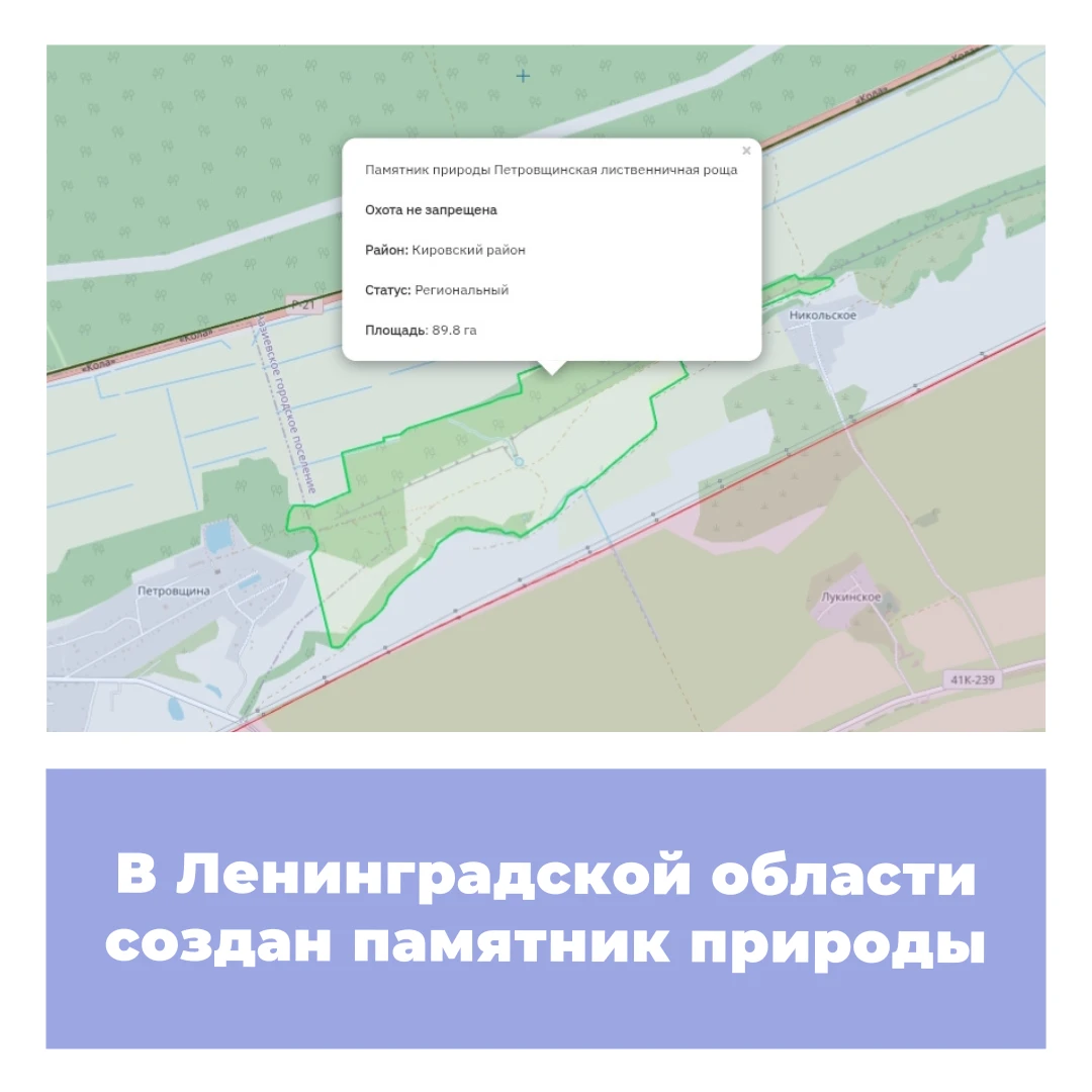 В Ленинградской области создан памятник природы