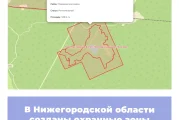 В Нижегородской области созданы охранные зоны памятников природы