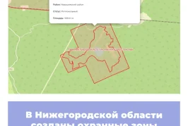 В Нижегородской области созданы охранные зоны памятников природы