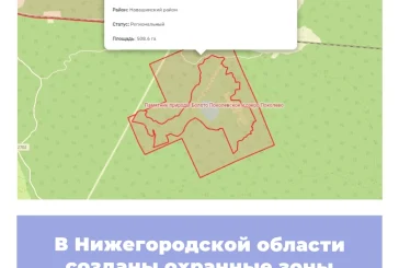 В Нижегородской области созданы охранные зоны памятников природы