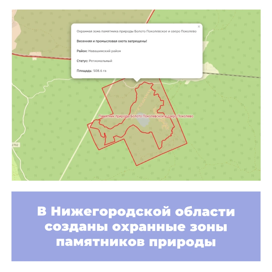 В Нижегородской области созданы охранные зоны памятников природы