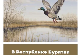В Республике Бурятия изменили сроки охоты