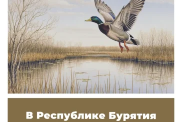 В Республике Бурятия изменили сроки охоты