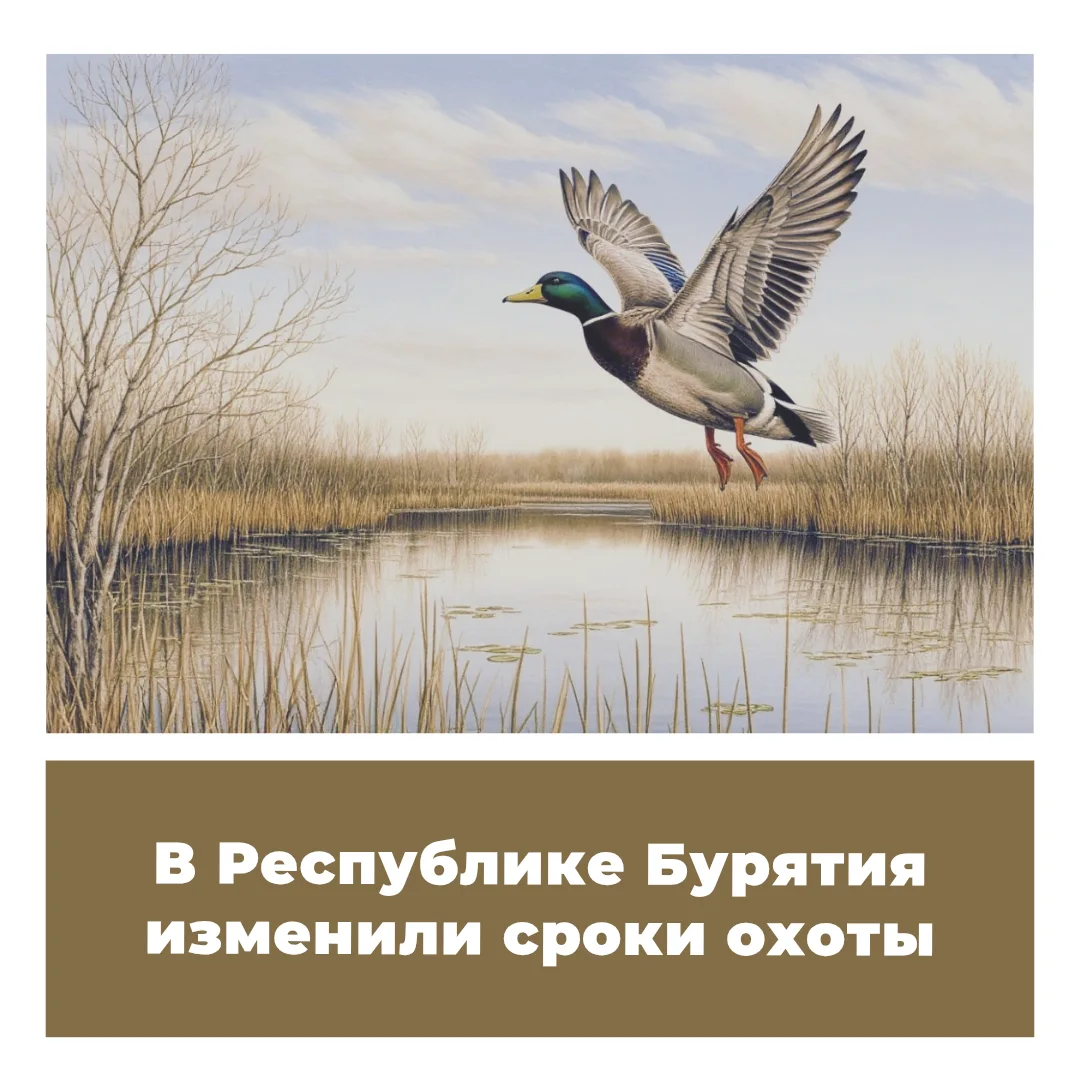 В Республике Бурятия изменили сроки охоты