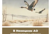 В Ненецком АО определены сроки весенней охоты