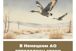В Ненецком АО определены сроки весенней охоты