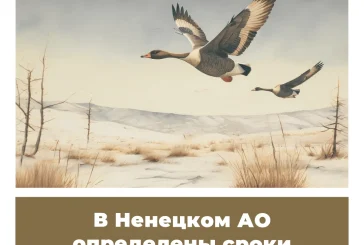 В Ненецком АО определены сроки весенней охоты