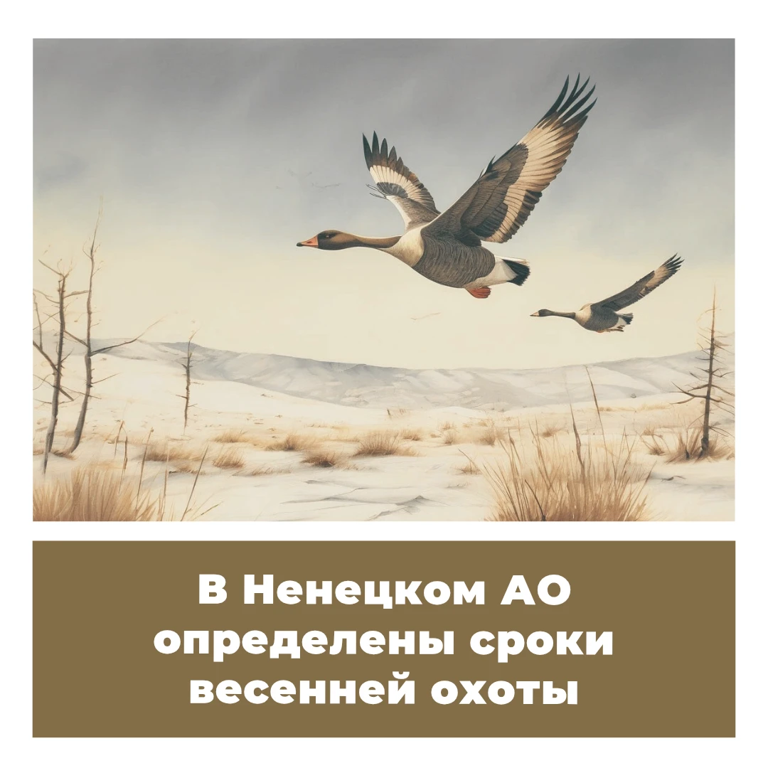 В Ненецком АО определены сроки весенней охоты