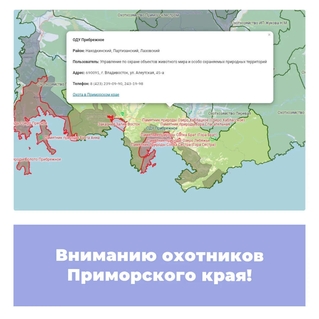 Вниманию охотников Приморского края!