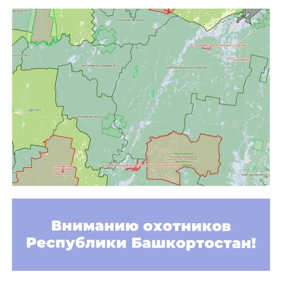 Вниманию охотников Республики Башкортостан!