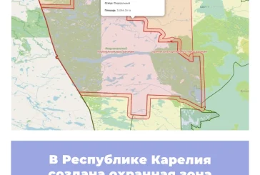 В Республике Карелия создана охранная зона парка «Паанаярви»