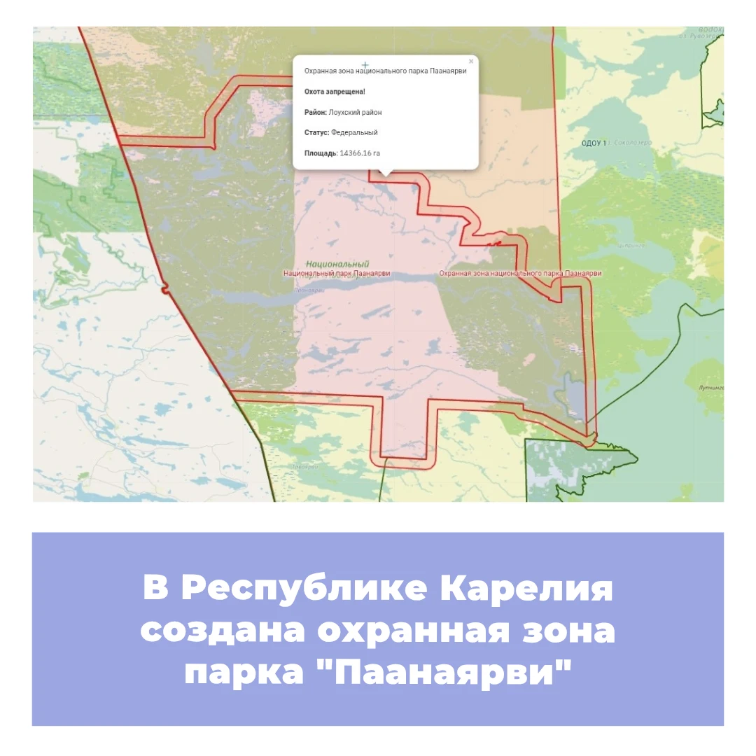 В Республике Карелия создана охранная зона парка «Паанаярви»
