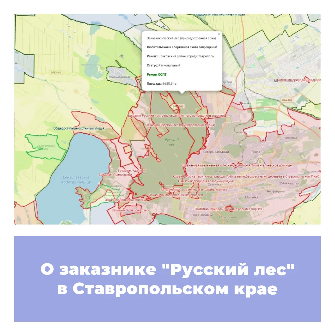 О заказнике «Русский лес» в Ставропольском крае