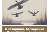 В Кабардино-Балкарской Республике изменили сроки охоты