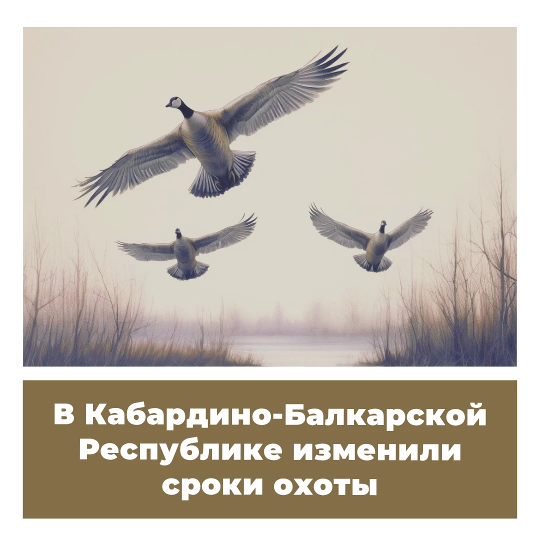 В Кабардино-Балкарской Республике изменили сроки охоты