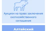 Торги на право заключения охотхозяйственного соглашения в Алтайском крае