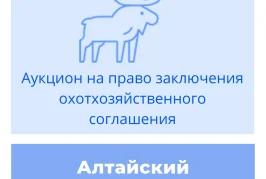 Торги на право заключения охотхозяйственного соглашения в Алтайском крае