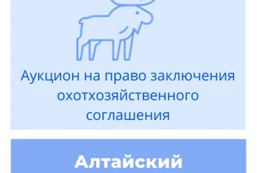 Торги на право заключения охотхозяйственного соглашения в Алтайском крае