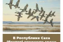 В Республике Саха (Якутия) изменили сроки весенней охоты