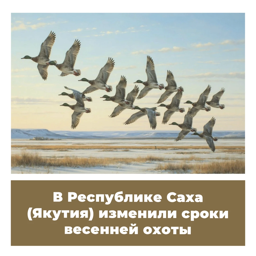 В Республике Саха (Якутия) изменили сроки весенней охоты