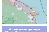 О памятнике природы «Залив Счастья с островами Кевор и Чаячный»