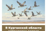 В Курганской области установлен запрет охоты