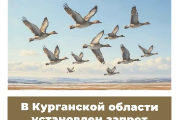 В Курганской области установлен запрет охоты