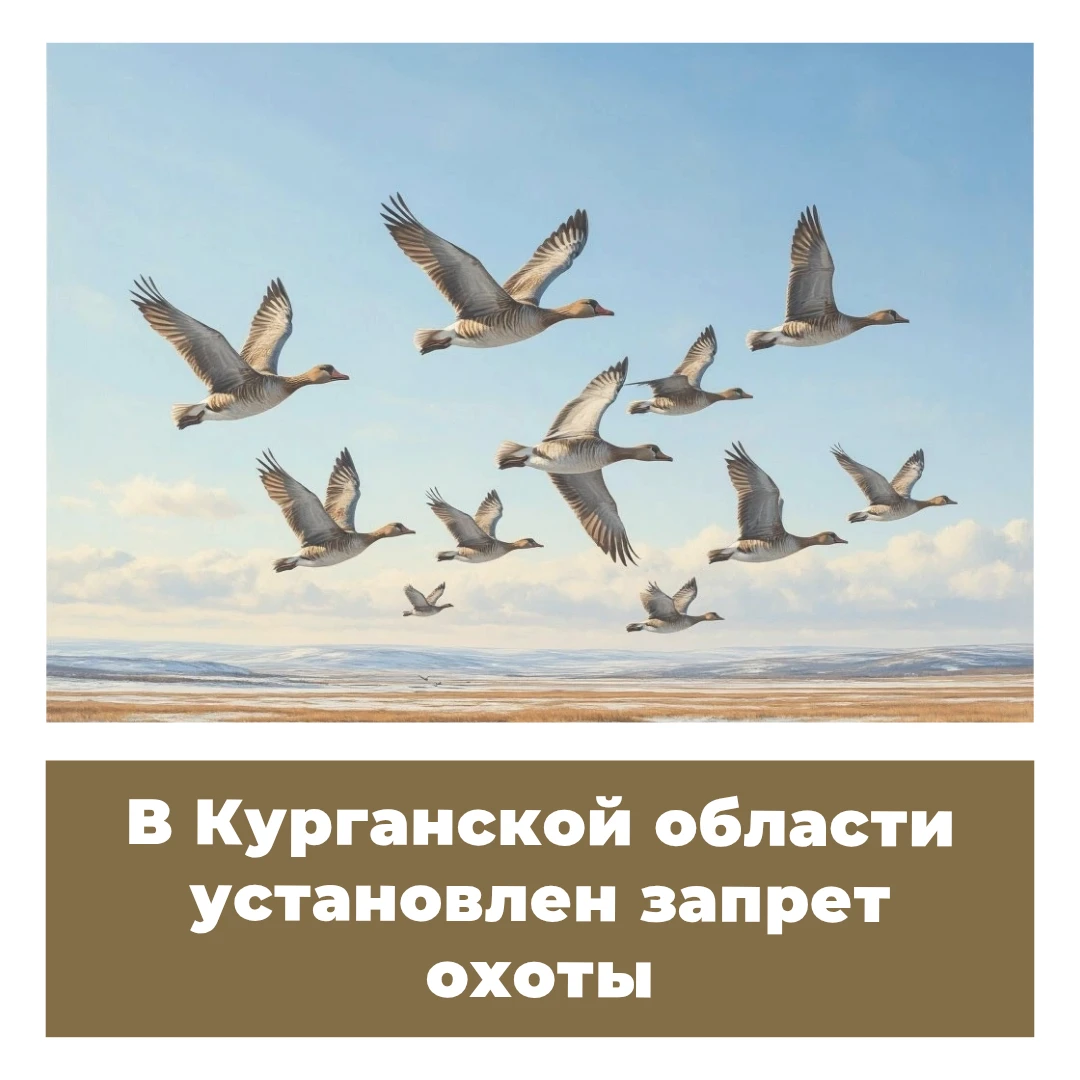В Курганской области установлен запрет охоты