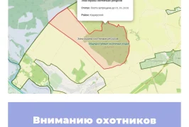 Вниманию охотников Воронежской области!