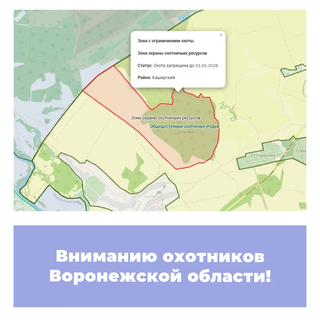Вниманию охотников Воронежской области!